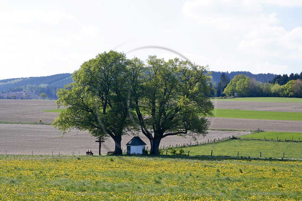 Schmallenberg, Ahberg, Hochsauerlandkreis, Blick auf Kapelle und Landschaft, Sauerland