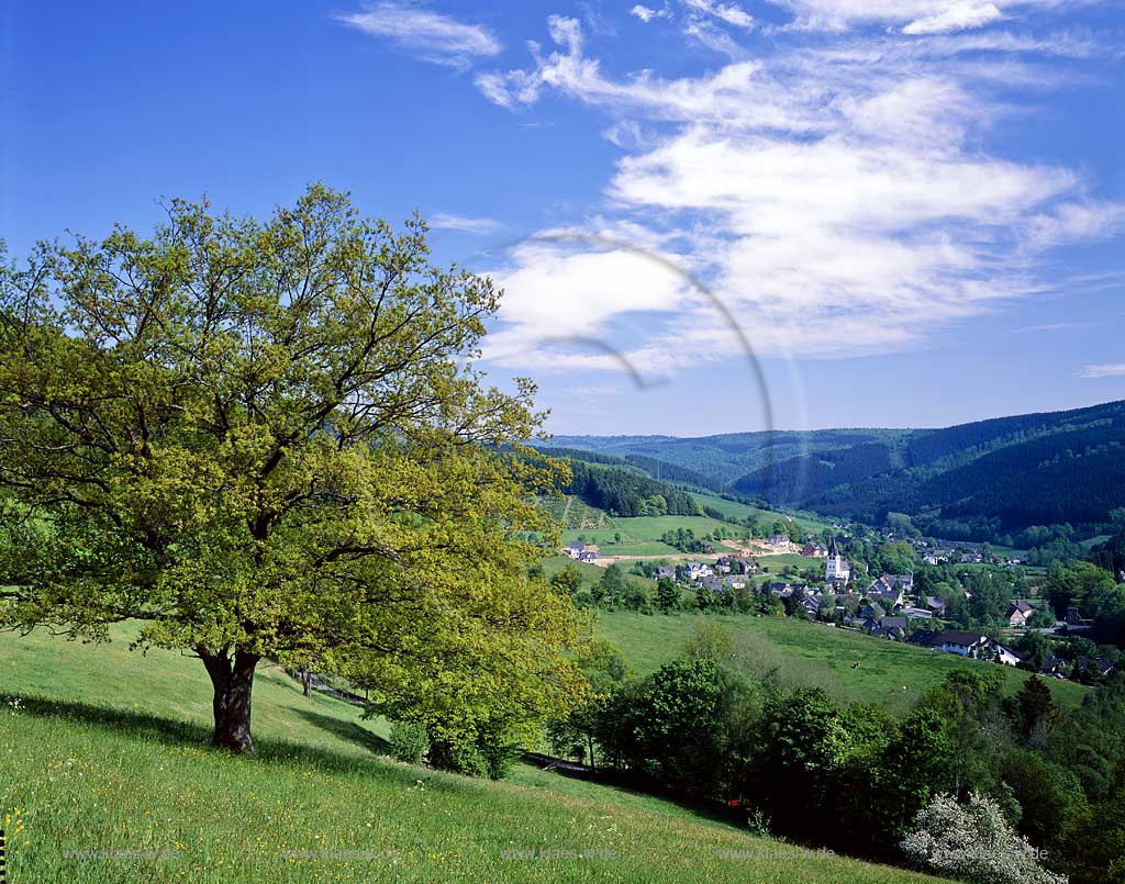 Schmallenberg, Fleckenburg, Hochsauerlandkreis, Blick auf Ort in Fruehlingslandschaft, Frhlingslandschaft, Sauerland