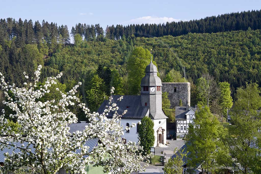 Schmallenberg, Nordenau, Hochsauerlandkreis, Blick auf Kirche, Ort und Apfelbluete, Apfelblte, Sauerland