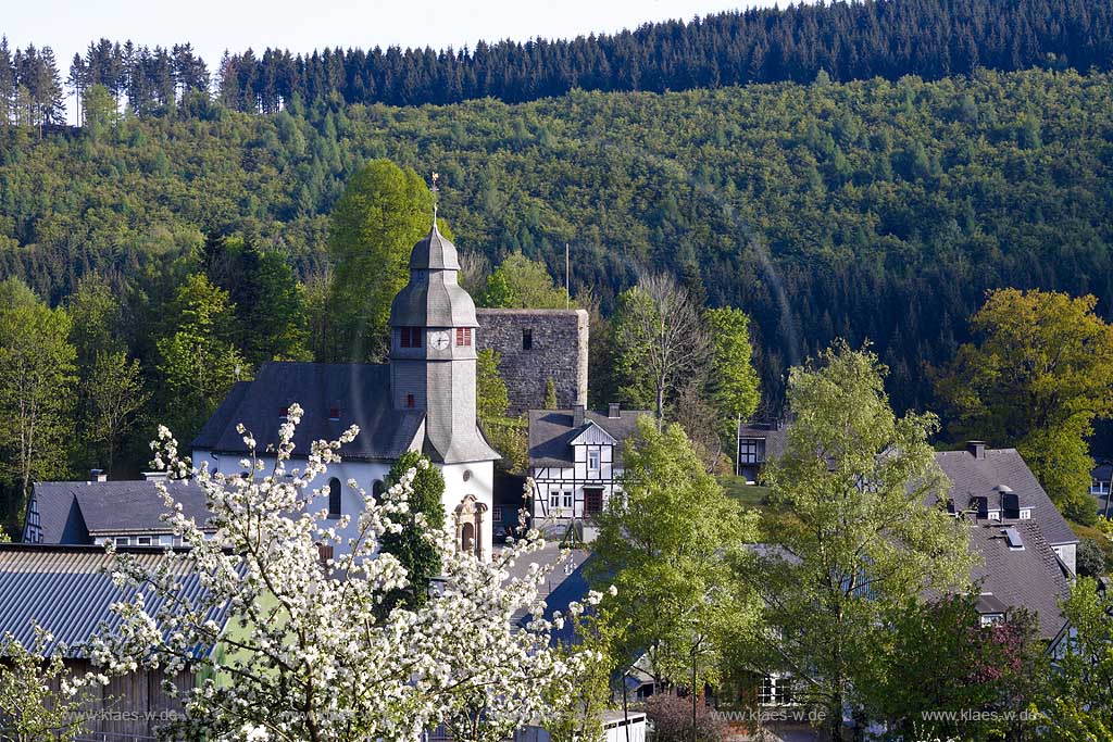 Schmallenberg, Nordenau, Hochsauerlandkreis, Blick auf Kirche, Ort und Apfelbluete, Apfelblte, Sauerland
