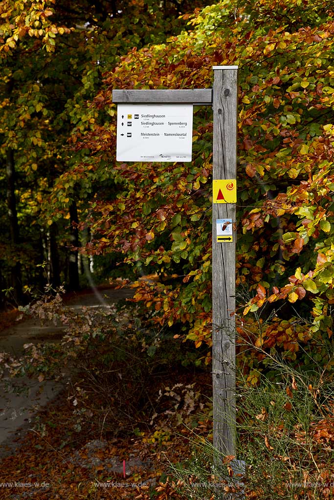 Winterberg Siedlinghausen Wanderweg Wege Beschilderung am Berg Meisterstein