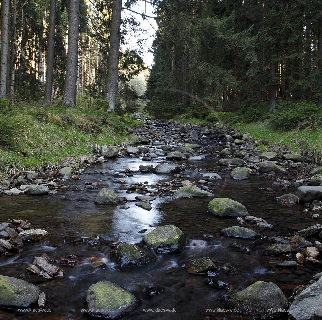 Die Buchheller im Naturschutzgebiet Buchhellertal; Burbach, beck Buchheller in the nature reservoir Buchheller valley