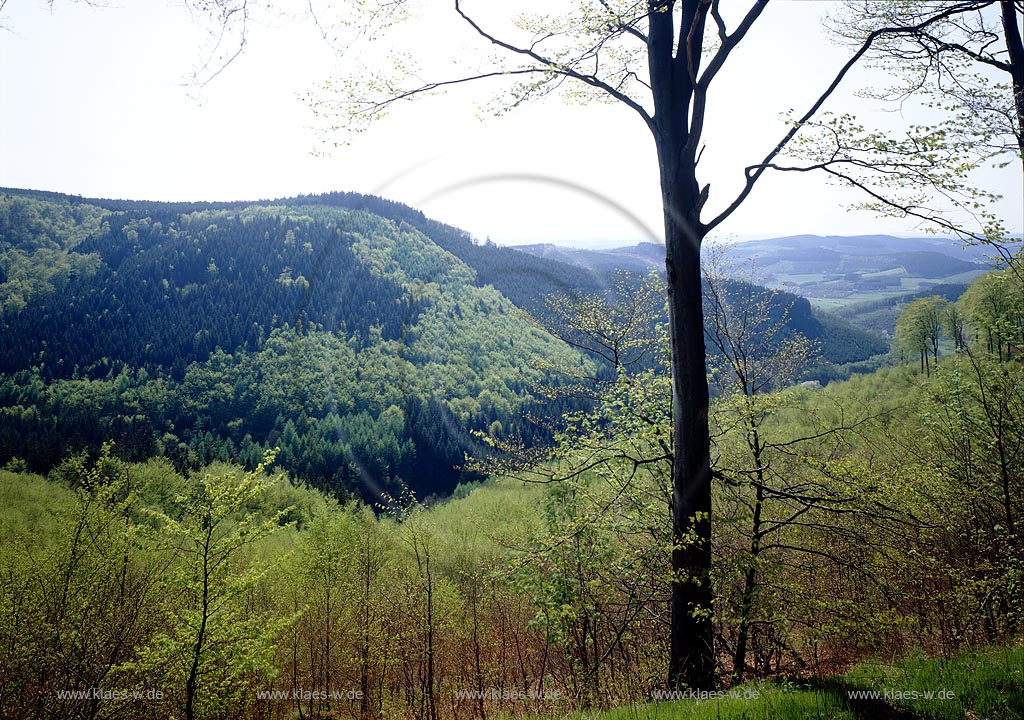 Dreifichten, Eisenstrasse, Rothaargebirge, Siegerland, Blick auf Landschaft bei Dreifichten