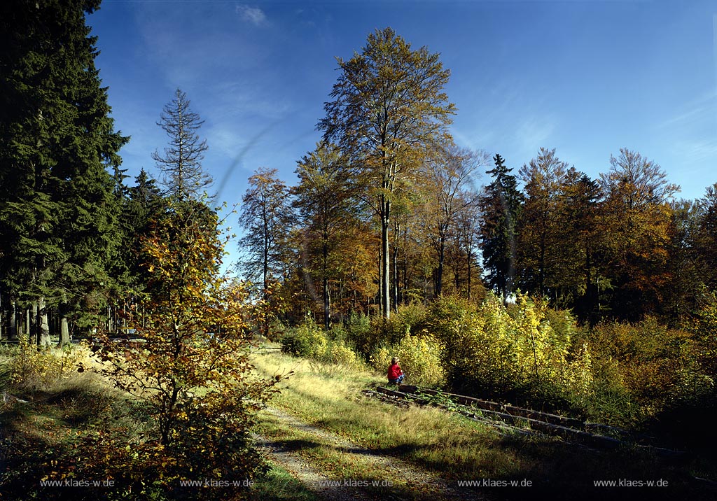 Eisenstrasse, Rauher Kopf, Kreis Siegen-Wittgenstein, Siegerland, Blick auf Landschaft im Herbst