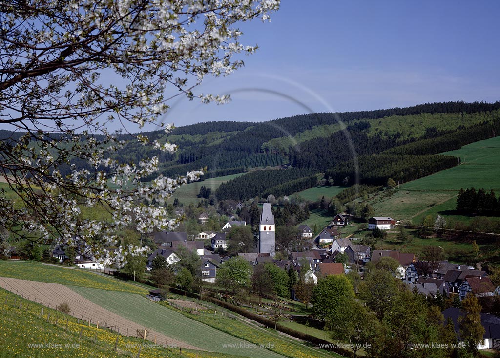 Girkhausen, Bad Berleburg, Kreis Siegen-Wittgenstein, Siegerland, Blick auf Ort und Landschaft im Frhling, Fruehling