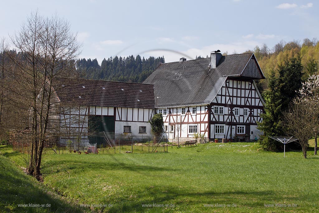 Kreuztal Oberhees, Fachwerk Bauernhof in Fruehlingslandschaft; Kreuztal Oberhees, framwork farmhouse in springtime landcape