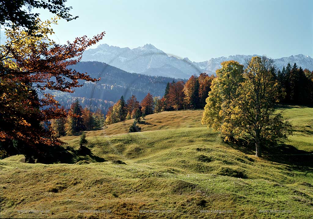 Garmisch-Partenkirchen Gschwandt gegen Wetterstein und Karwendel in Herbstlandschaft Alm;  Alp landsape with Wetterstein and Karwendel rocks in autumn