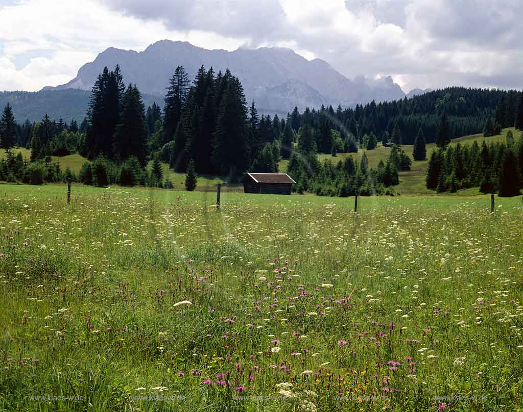 Klais, Kruen, Krn, Oberbayern, Werdenfelser Land, Garmisch-Partenkirchen, Blick auf Blumenwiese und Landschaft mit Sicht zum Wettersteingebirge