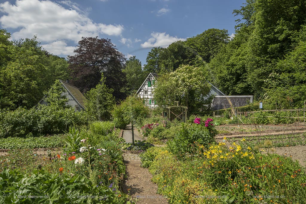 Burscheid-Lambertsmuehle, Blick vom Bauerngarten zur Lambertsmuehle; Burscheid-Lambertsmuehle, view over the cottage garden to the mill Lambertsmuehle.  