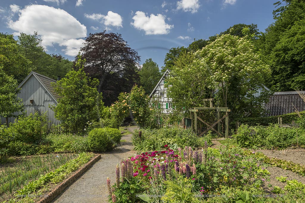 Burscheid-Lambertsmuehle, Blick vom Bauerngarten zur Lambertsmuehle; Burscheid-Lambertsmuehle, view over the cottage garden to the mill Lambertsmuehle.  