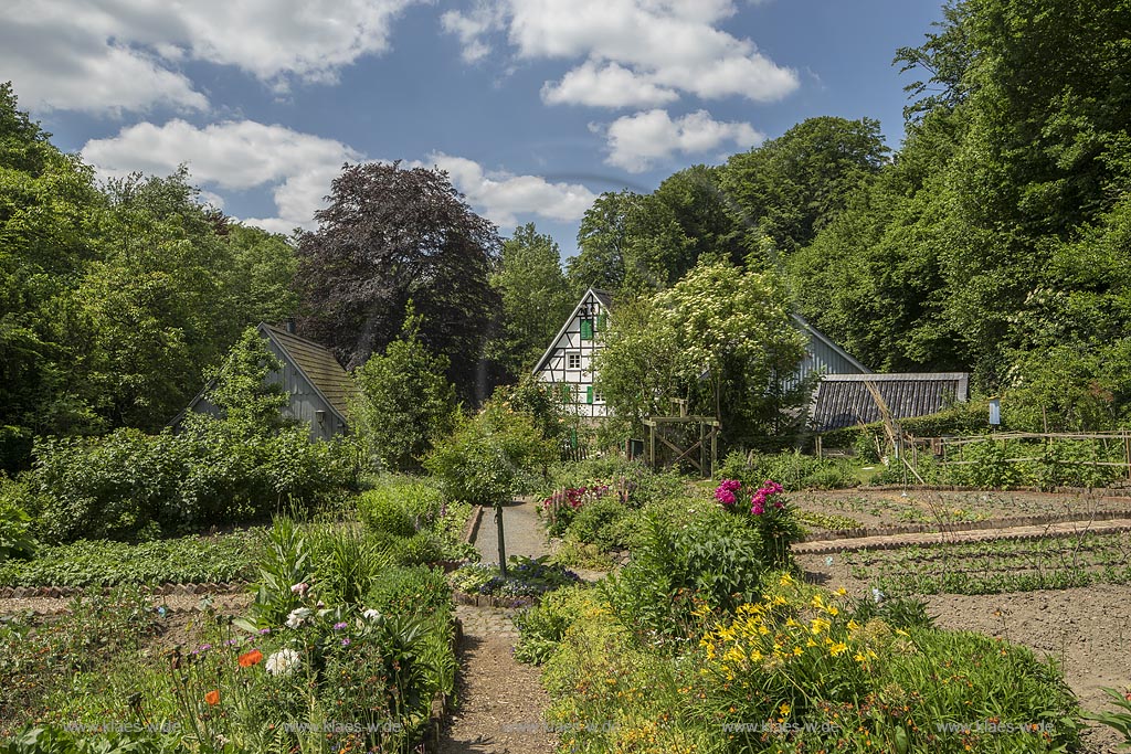 Burscheid-Lambertsmuehle, Blick vom Bauerngarten zur Lambertsmuehle; Burscheid-Lambertsmuehle, view over the cottage garden to the mill Lambertsmuehle.  