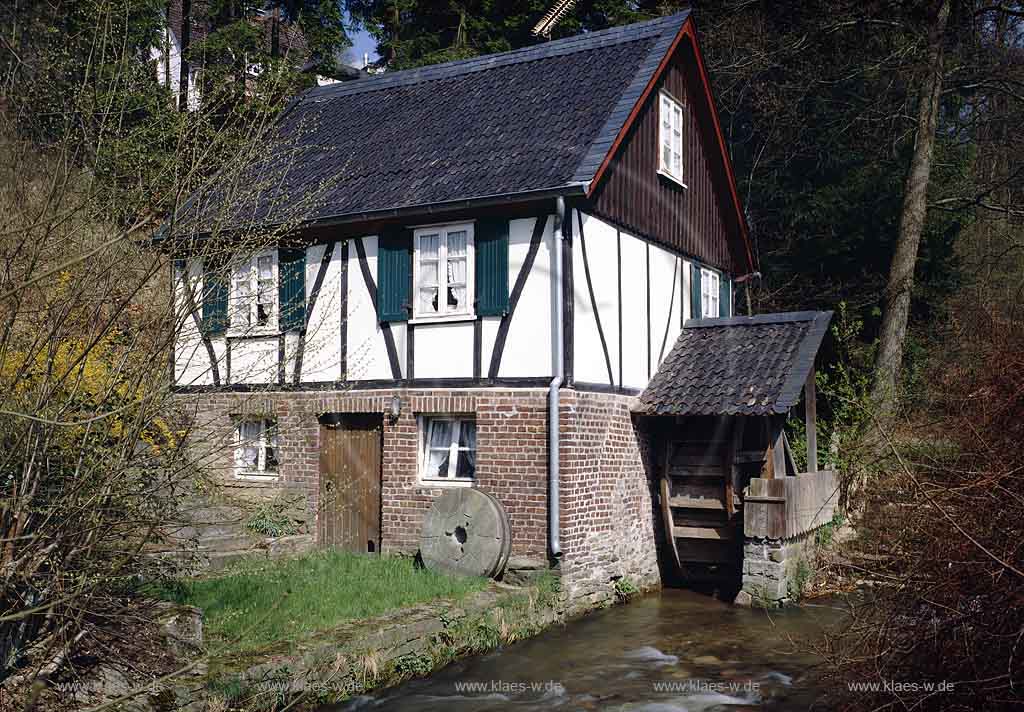 Rose, Gummersbach, Oberbergischer Kreis, Bergisches Land, Blick auf Rosper Mühle, Muehle