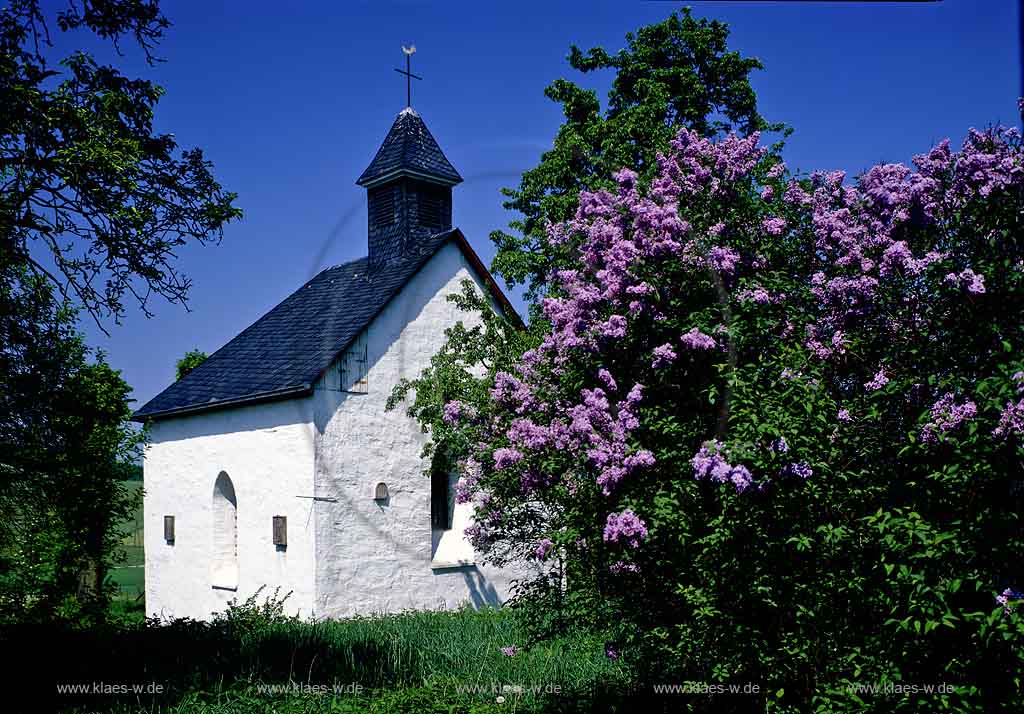 Lindlar, Oberbergischer Kreis, Bergisches Land, Blick auf Kapelle Klause Lucia mit Flieder