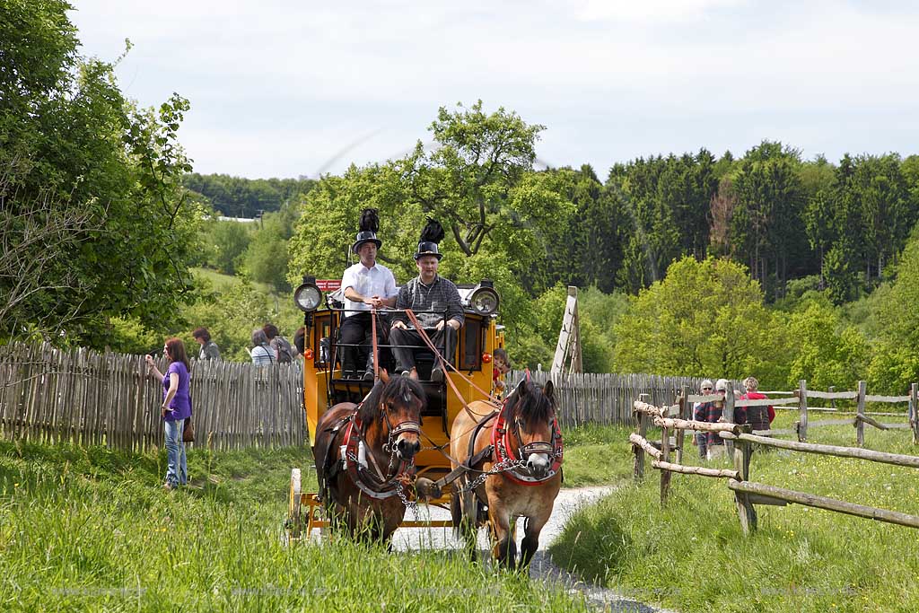 Lindlar Bergisches Freilichmuseum Lindlar fuer Oekologie und baeuerlich-handwerrkliche Kunst, nachgebaute historische Postkutsche, Nachbildung zweispaennig von 2 Kaltblut Pferden gezogen faehrt durch das Museum wahrend der Veranstaltung Jroen und Jedoen, Garten und Pflanzenmarkt; Lindlar open-air museum with replication of a historical stagecoach