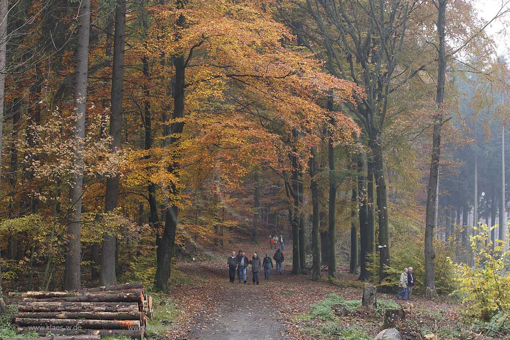 Solingen, Herbstimpression an der Sengbachtalsperre mit Rundwanderweg, herbstlich verfaerbter Laubwald; Solingen atmospheric landscape with hiking path, autum coloured trees