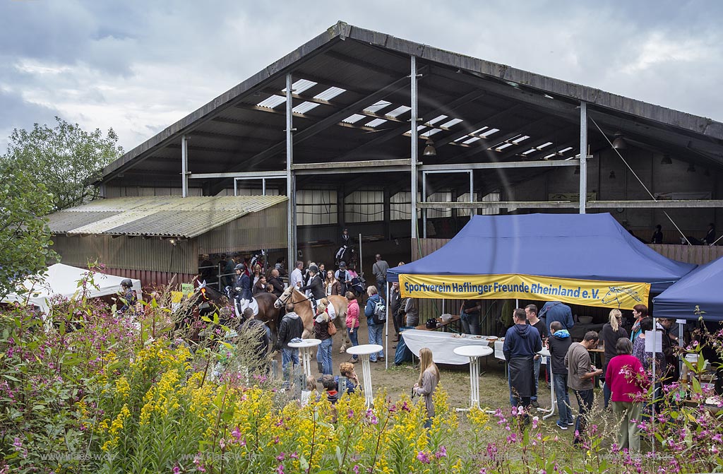 Wermelskirchen-Eipringhausen, Reiterhof Jaeger, Haflinger Reiterfest des  Sportverein Haflinger-Freunde Rheinland e.V.