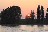 Wittlaer, Düsseldorf, Duesseldorf, Niederrhein, Bergisches Land, Blick auf Sonnenuntergang am Rhein mit Bäumen, Baeumen, Abendstimmung