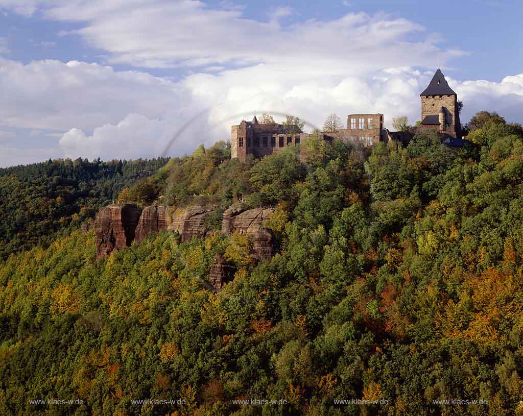Nideggen, Kreis Dren, Eifel, Blick zur Burg Nideggen, Bergfried, in Herbstlandschaft