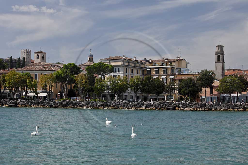 Desenzano, Blick vom Gardasee zur Stadt mit Promenade, im Vordergrund schwimmende Hoeckerschwaene; Desenzano. view to the promenade, swimming mute swan on the lake.