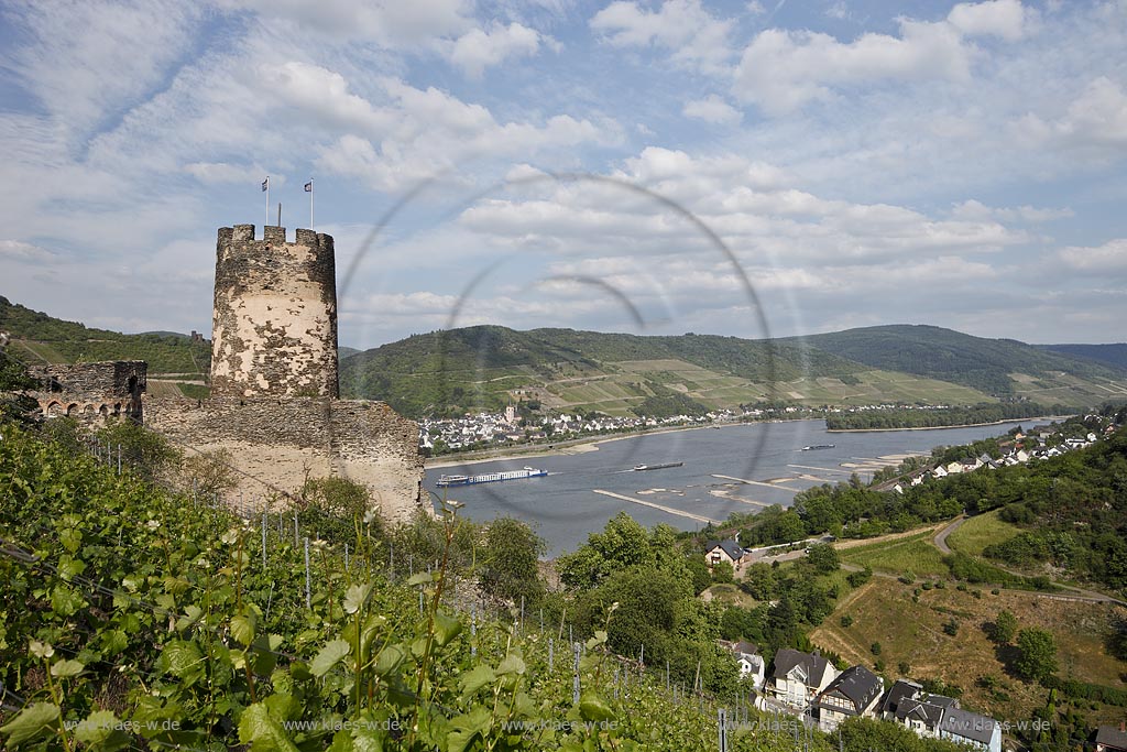 Rheindiebach, Blick vom Weinberg zur Ruine Fuerstenberg und zum Rhein mit Binnenschifffahrt; Rheindiebach, view from a vineyard to sovereign castle and to the Rhine with shipping.