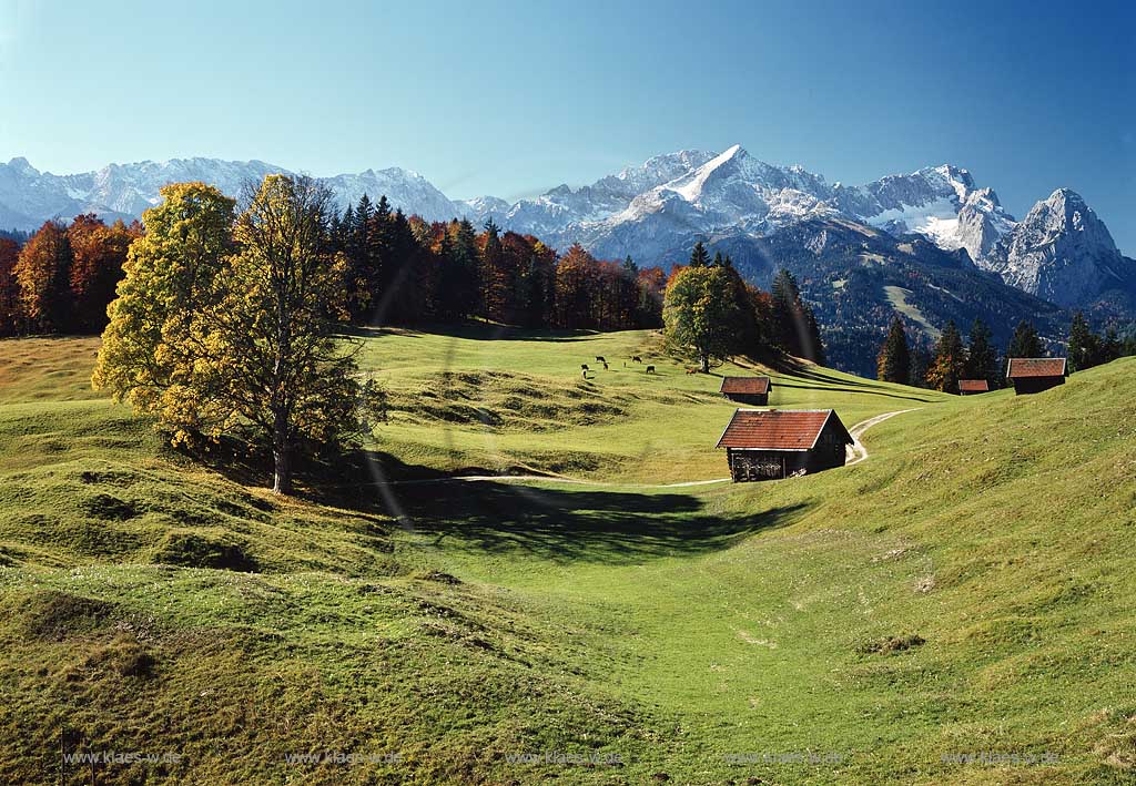 Garmisch-Partenkirchen Gschwandt gegen Wetterstein und Karwendel in Herbstlandschaft, Alm;  Alp landsape with Wetterstein and Karwendel rocks in autumn