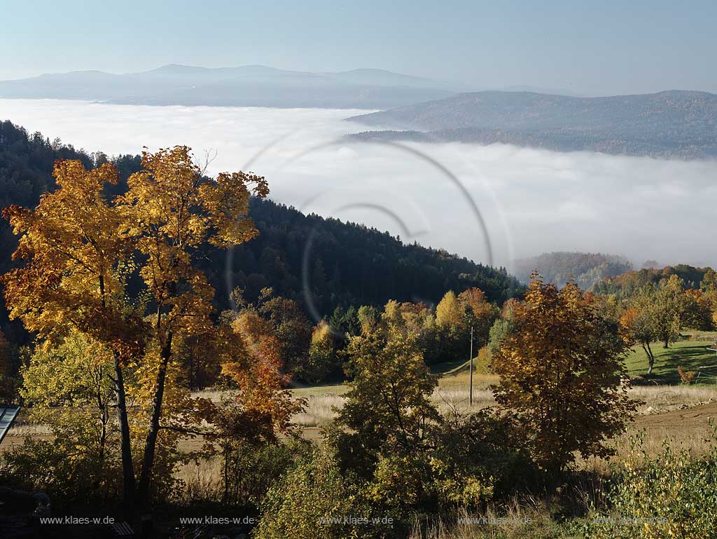 Langfurth Bayerischer Wald Herbstlandschaft mit Nebelmee; Langfurth in Bavartian Forest, autumn landscape with fog in the valley